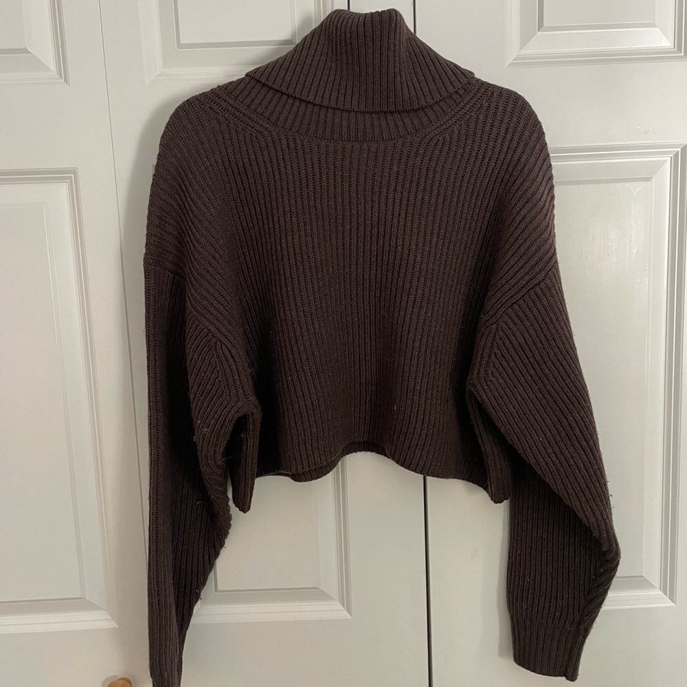 Aritzia babaton wool turtleneck